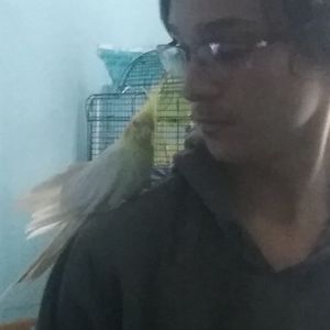 Meet your Posher, Zachary